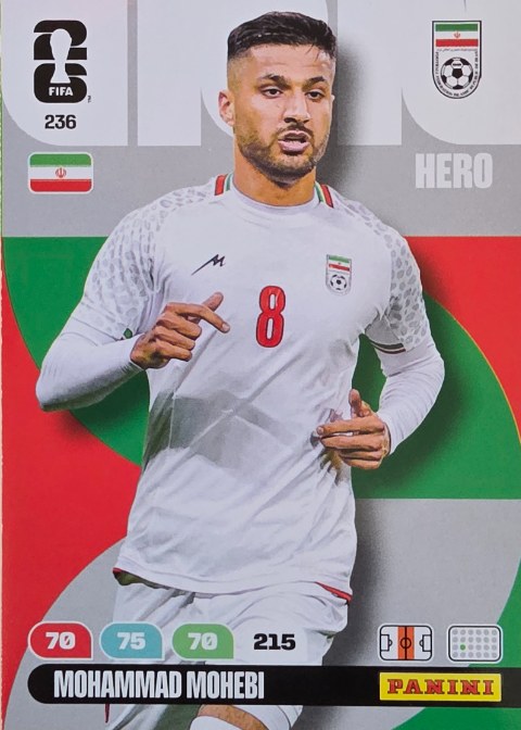 Mohammad Mohebi